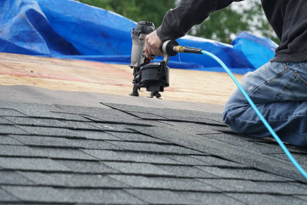 Best Roof Gutter Cleaning  in Gruetli Laager, TN