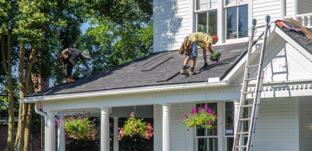 Best Shingle Roofing Installation  in Gruetli Laager, TN